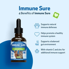 Imagen de Immune Sure con andrographis y echinacea para soporte natural