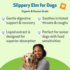 Pet Wellbeing Slippery Elm, frasco líquido, ayuda para garganta y digestión.