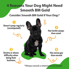 Pet Wellbeing Smooth BM Gold, dosis-liquida de rápida absorción para perros.
