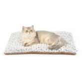 Petace cama auto-caliente para gatos, vista frontal, calor cómodo sin electricidad