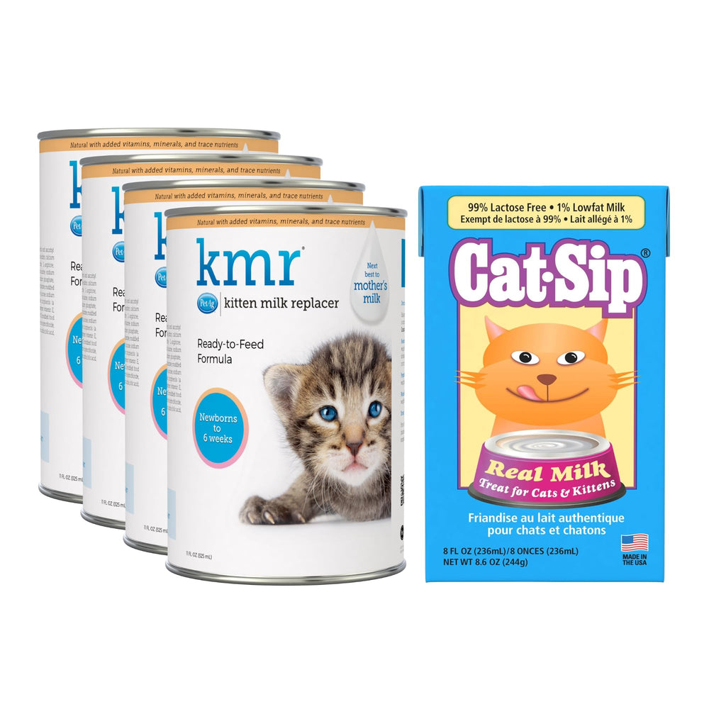 PetAg KMR reemplazo leche gatito con botella para alimentar gatitos.