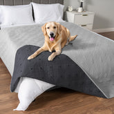 PetAmi cubre impermeable para perros protege el sofá de derrames y manchas.