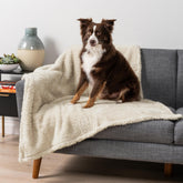 PetAmi manta impermeable para perro mediano protege el sofá de líquidos
