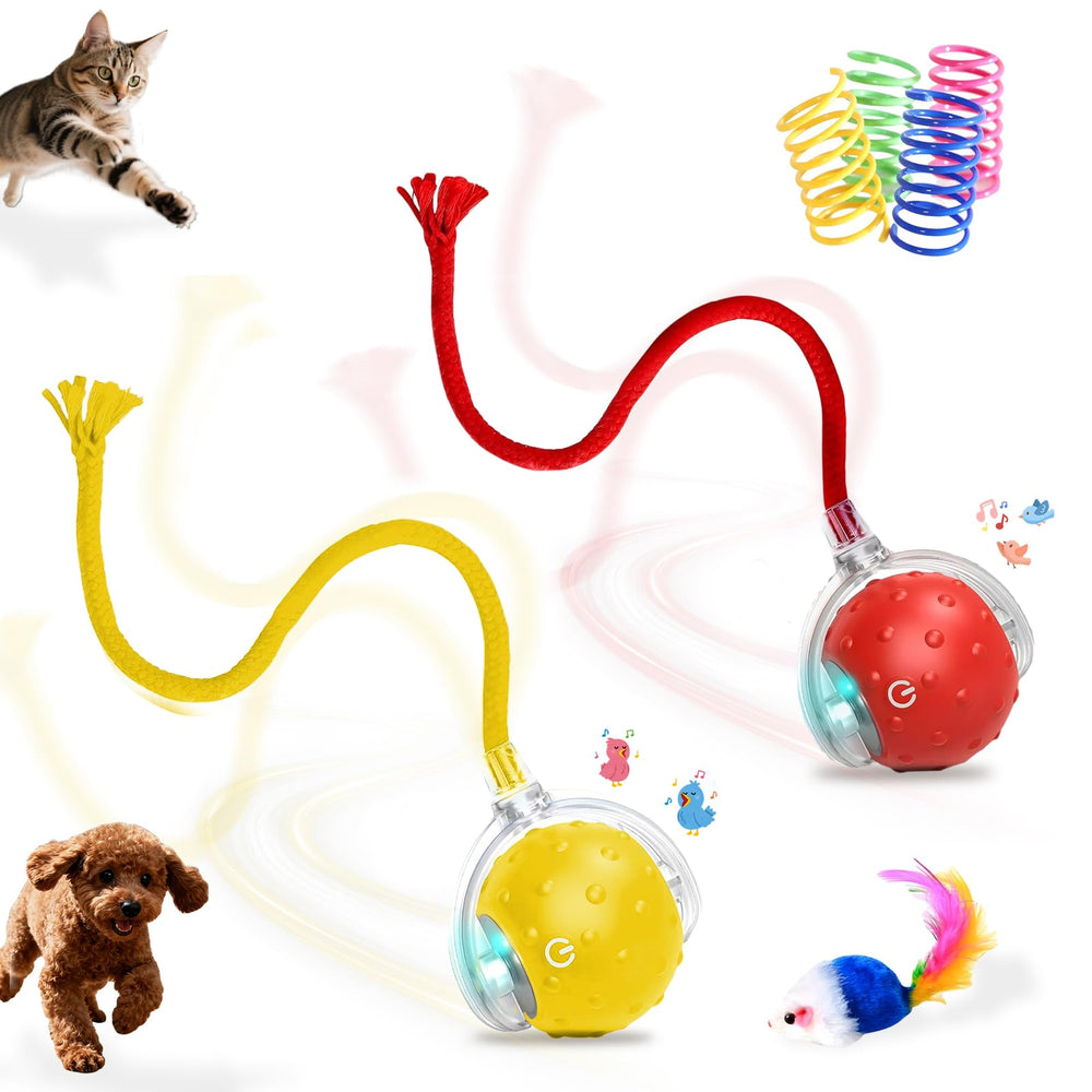 Petayouj bola interactiva para gatos con juego en interior mejora la actividad física