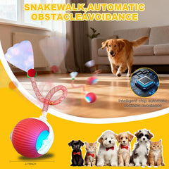 Petayouj bola con luces LED y cola flexible inspira el instinto cazador.