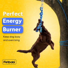 Petbobi Bungee Toy: muelle acero inoxidable absorbe impactos para tirón seguro