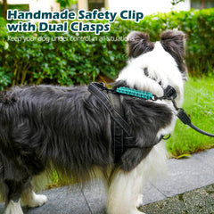 PetBonus clip de respaldo para collar y arnés, compatible con modelos.