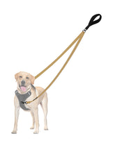 PetBonus correa con dos puntos de control para paseo más estable