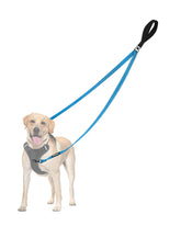 PetBonus correa de dos puntos para perro azul claro, control suave durante el paseo.