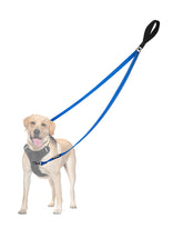 PetBonus correa control dos puntos para perros, azul, mejor manejo durante paseos