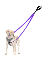 PetBonus correa de dos puntos de control para perros, mejora el control durante el paseo