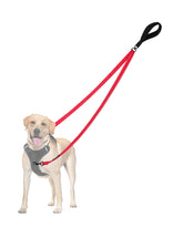 PetBonus correa perro doble punto control frontal, mejora el control durante el paseo.