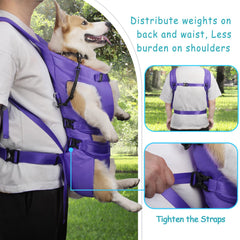 PetBonus diseño ergonómico con malla transpirable para mayor comodidad.