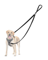 PetBonus correa de doble punto con control frontal para caminar sin tirones