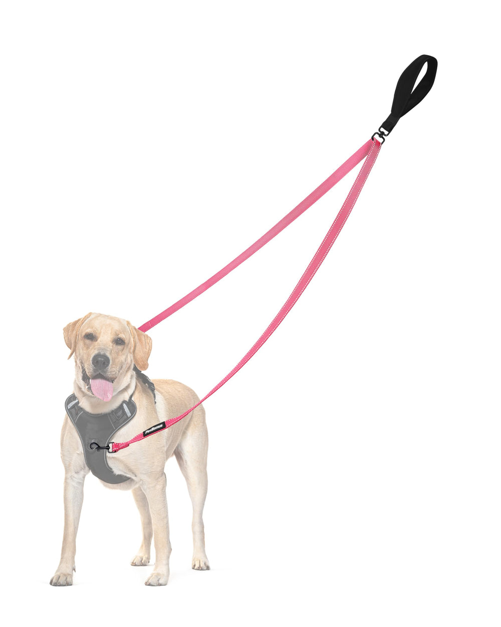 PetBonus doble punto de control para correa de perro, enfoque en manejo seguro rosa