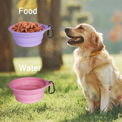 PetBonus tazones duraderos sin BPA para uso al aire libre