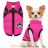 PETCARE abrigo de invierno para perro con arnés, impermeable y cálido para paseos diarios