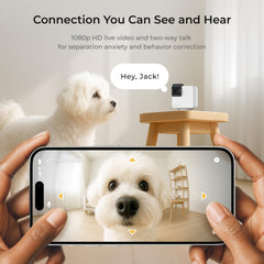 Petcube Cam360: audio bidireccional para conversar y tranquilizar a tu mascota.