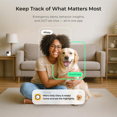 Petcube Cam360: visión nocturna para ver a tu mascota en la oscuridad.