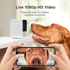Petcube Cam Pack 2: visión nocturna de hasta 9 metros para tranquilidad nocturna.