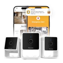 Petcube Pack: cámara interior 1080p con visión nocturna para vigilar mascotas sin perder detalle.