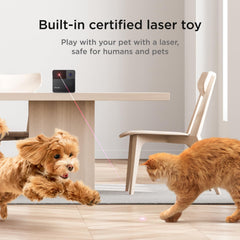 Petcube Play 2: ángulo de 160° para ver toda la habitación y conocer su entorno.