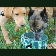 Petfactors capacidad de 2,2 litros para beber a temperatura estable.
