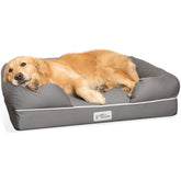 PetFusion cama para perro con espuma ortopédica para mayor soporte.