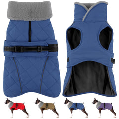 Petglad capa impermeable para perro: protección contra lluvia ligera durante paseos.