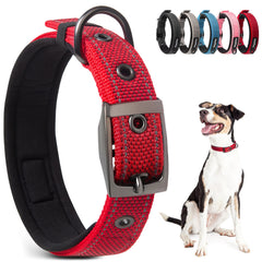PetiFine collar perro grande con neopreno acolchado para mayor comodidad