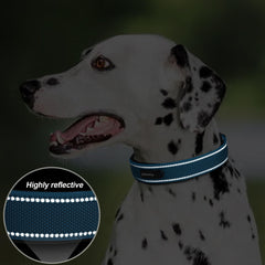 PetiFine collar grande para paseos diarios en azul: durabilidad para horas de actividad.