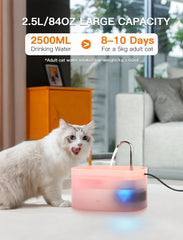 Petilog fuente para gatos con luz de guía nocturna, facilita localizarla en la oscuridad.