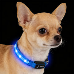 PetIsay collar LED para perros, iluminación nocturna para mayor visibilidad y seguridad.