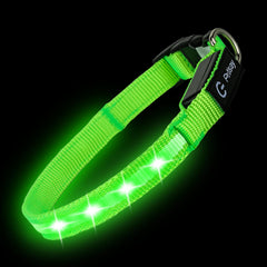 PetIsay collar LED para gatos, alta visibilidad nocturna para seguridad