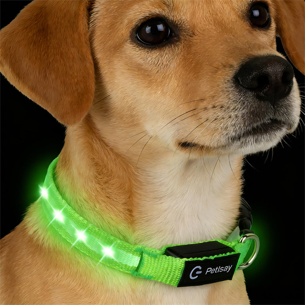 PetIsay collar LED para perros pequeños, mejor visibilidad nocturna para paseos