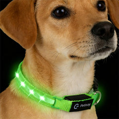 PetIsay collar LED para perros pequeños, mejor visibilidad nocturna para paseos