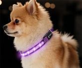 Collar LED PetIsay para perros pequeños, alta visibilidad durante paseos nocturnos.