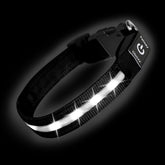 PetIsay collar LED ultra brillante para perros, mejora la visibilidad nocturna.