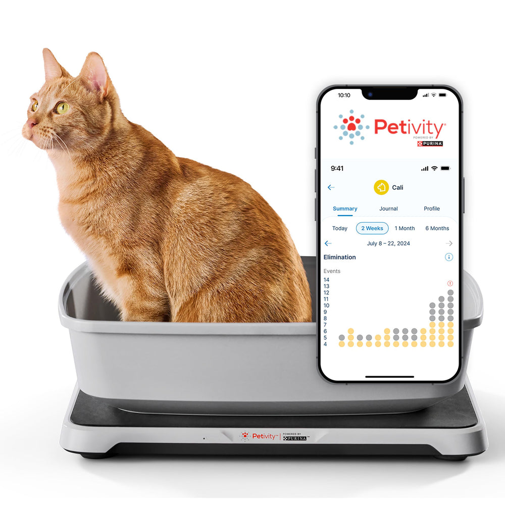 Petivity: balance de peso en la caja de arena para seguir hábitos del gato.