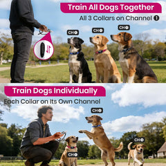 PetJoy modo bloqueo de choque con tono y vibración para entrenamiento seguro