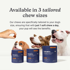 PetLab Co probióticos para perros, refuerzo de defensas naturales.