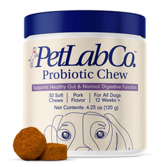 PetLab Co Probióticos para perros: botella con suplemento para salud intestinal.