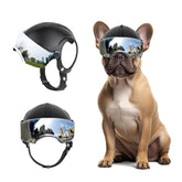 PETLESO casco para perro con gafas anti-UV para paseos seguros.