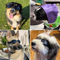 PETLESO gafas para perros medianos con lentes intercambiables transparentes, visión clara