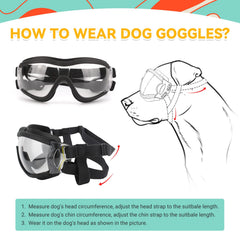 PETLESO gafas para perro transparente con UV400, ideales para caminatas y uso diario