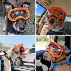 Gafas PETLESO para perros grandes: ajuste de correa para cabeza seguro y cómodo