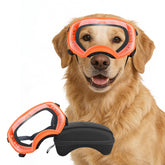 Gafas PETLESO para perros grandes: lente claro para visión sin distorsión durante paseos
