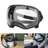 PETLESO gafas protección perros con lentes claros para paseos soleados