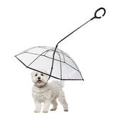 Petleso paraguas para perro pequeño en lluvia, protege al animal y mantiene la visibilidad.