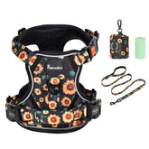 Petmolico arnés vest ergonómico con ajuste cómodo para paseos diarios.